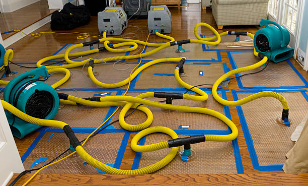 Professional Crawl Space Water Removal technician working in Coon Valley, WI